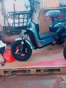 新的力帆电动车就三辆