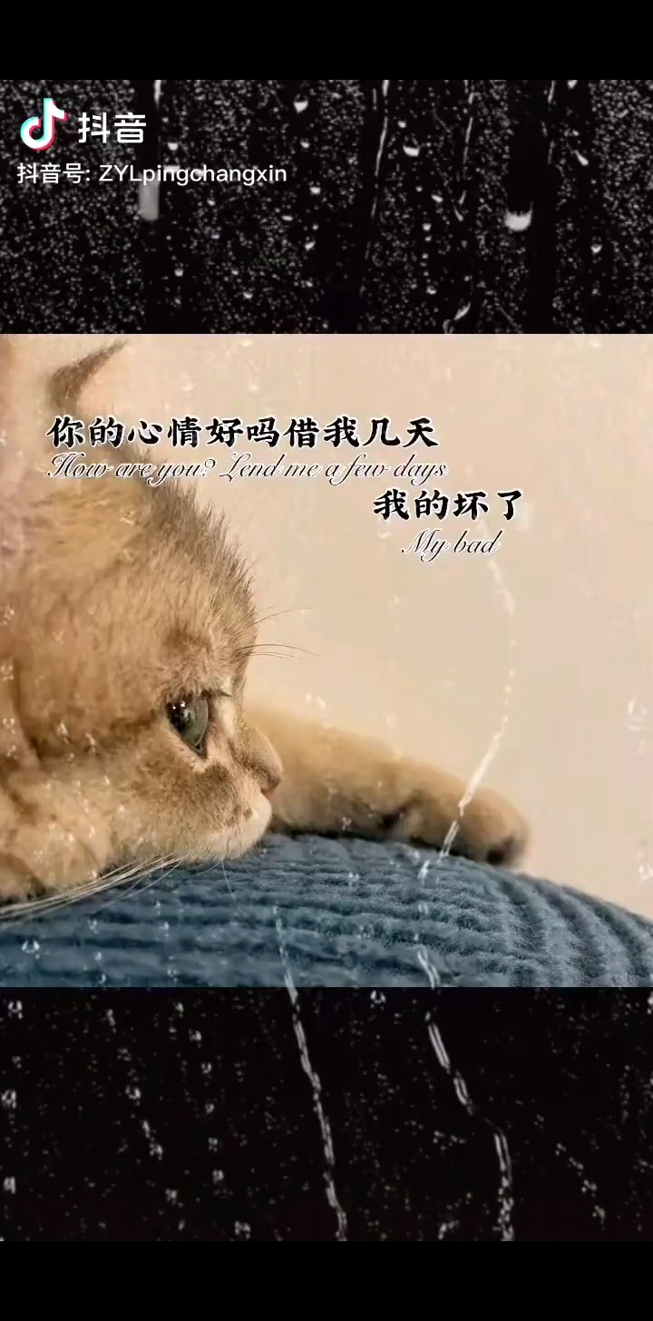 /审视