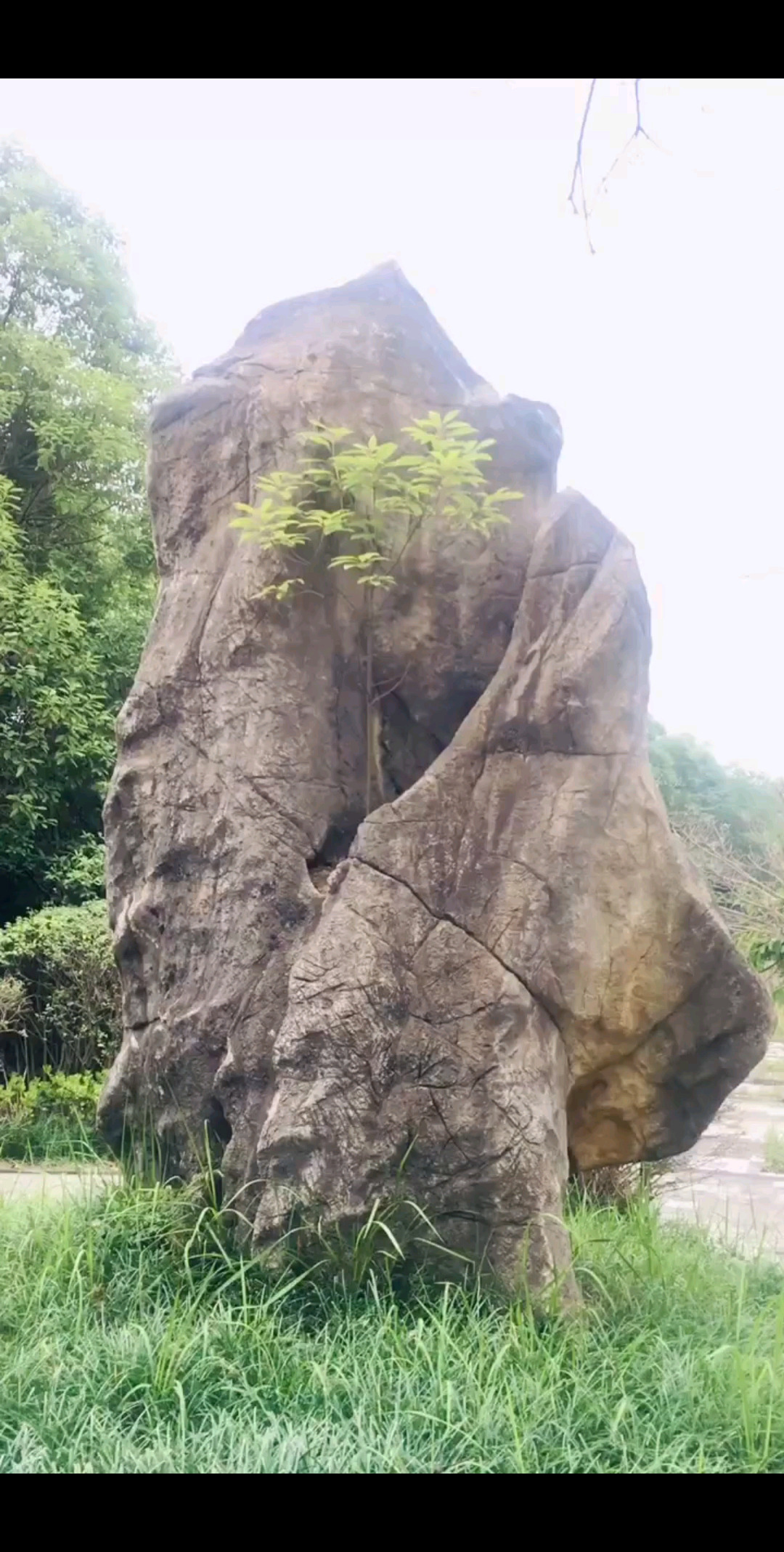 һʯͷϵ,һ - ䷿㳡
