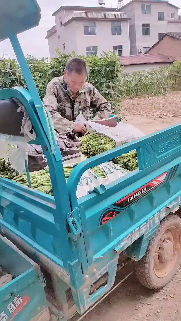 我这几天行动不便，在