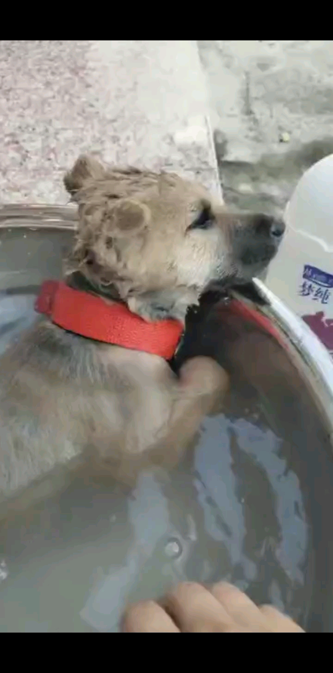 洗白白🛀🏻