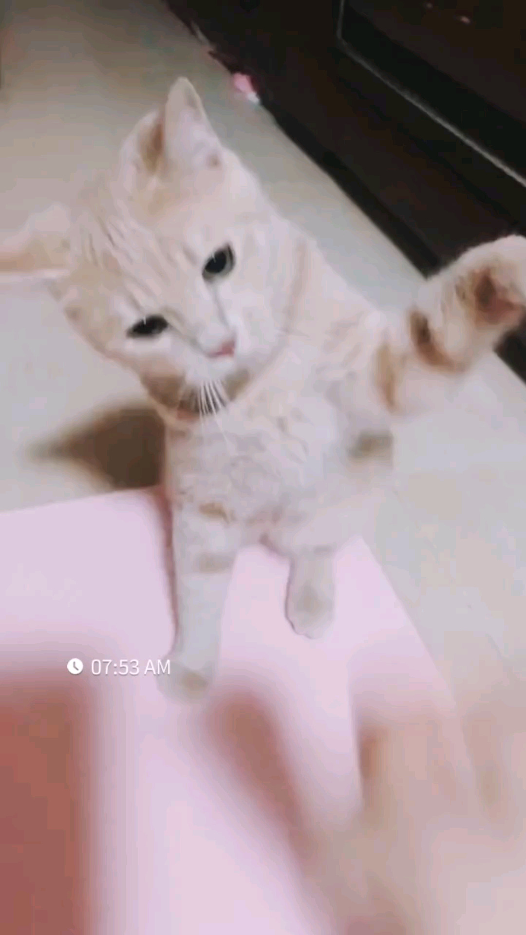 拳击～陪练