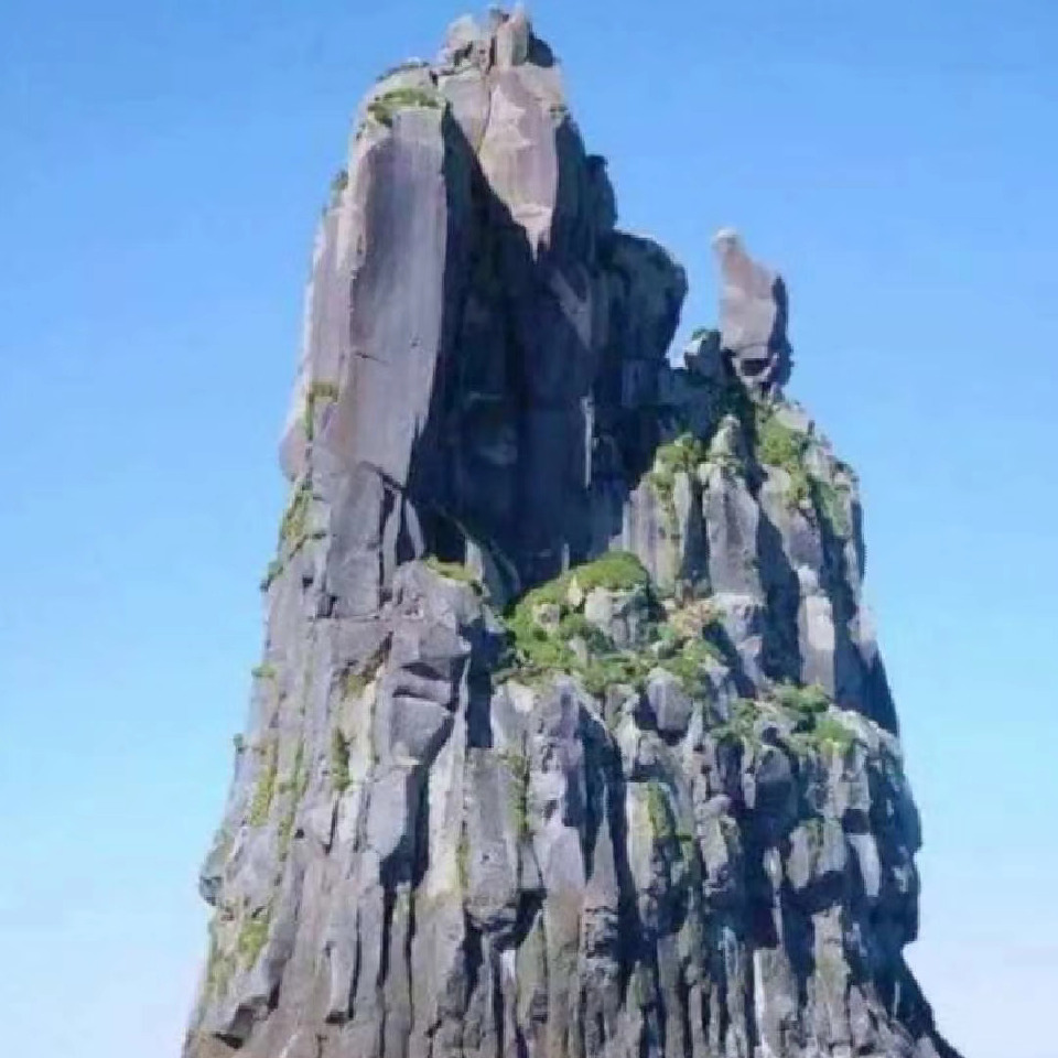 SZ之神海报