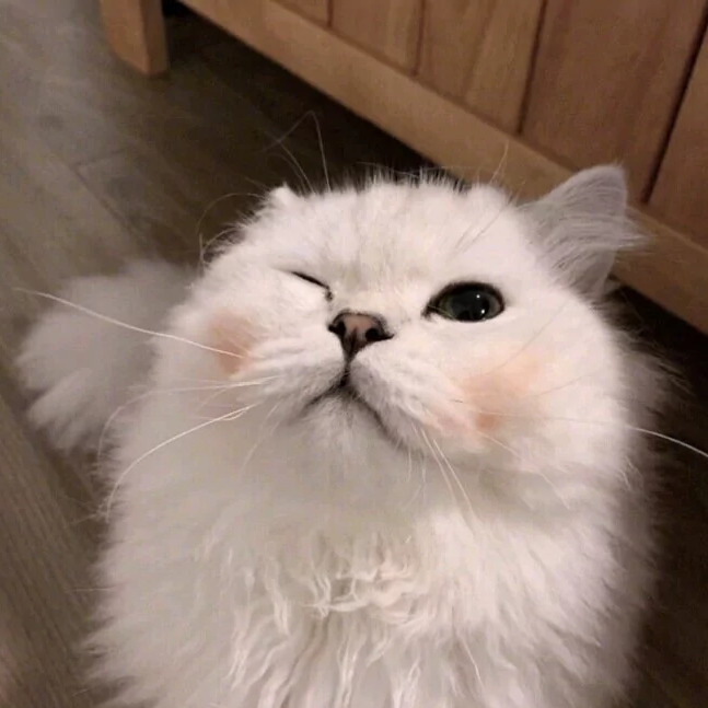 小船票海报