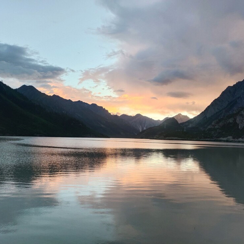 鹤🦩清欢海报