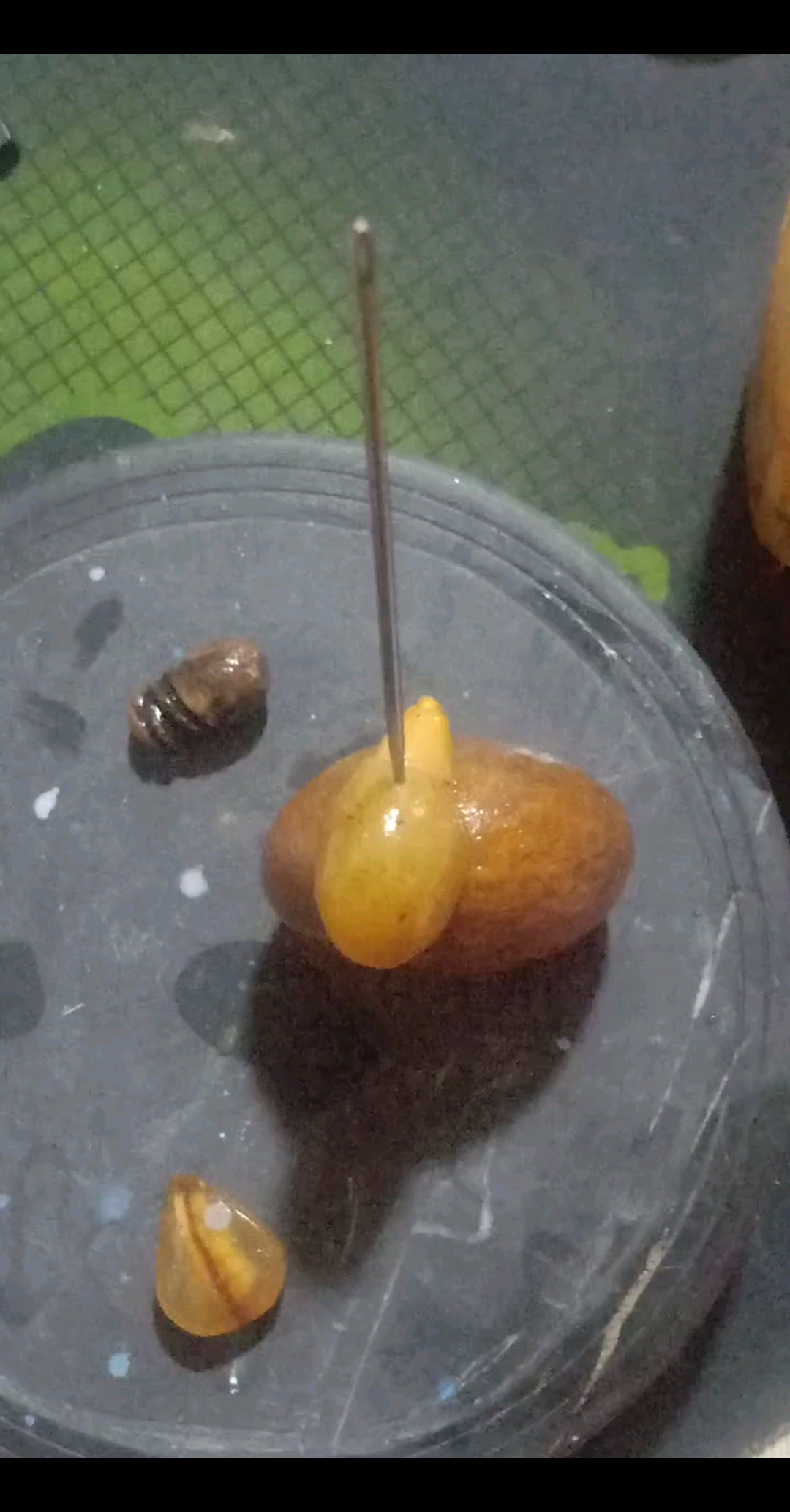 新购买的工县做出了个，就这。