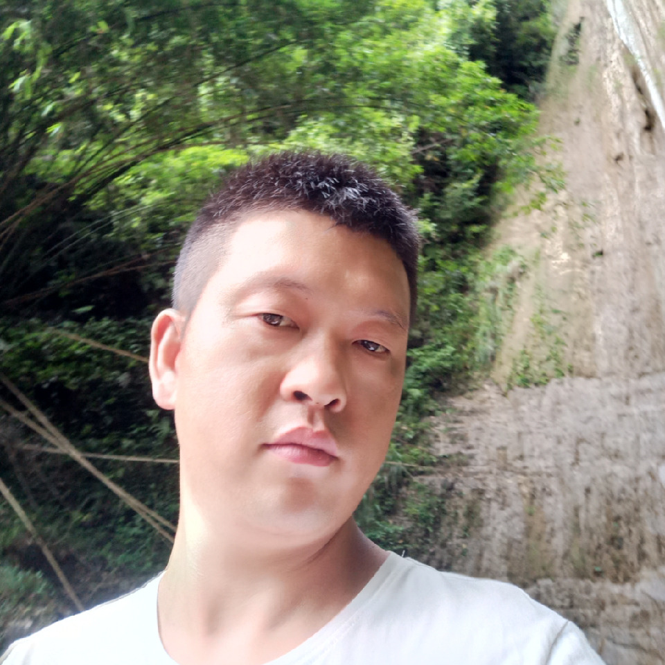 莫飞a海报