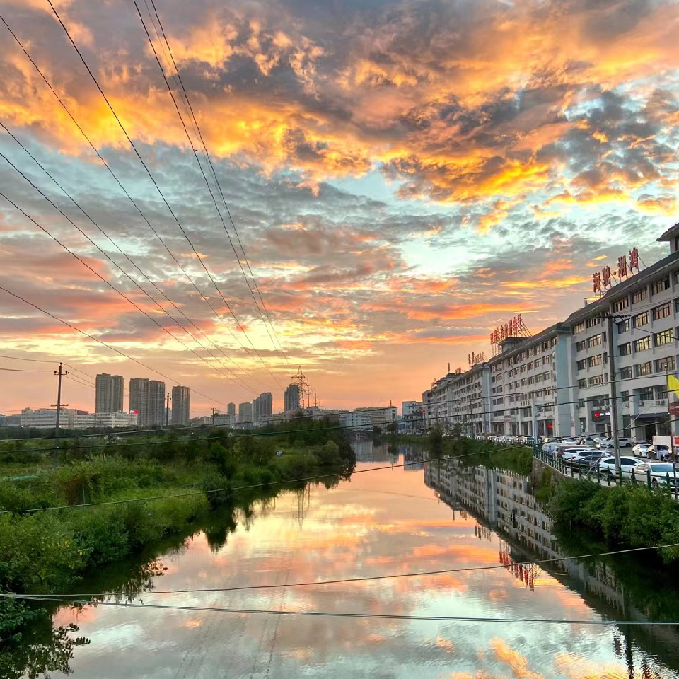 夏天哥哥x海报