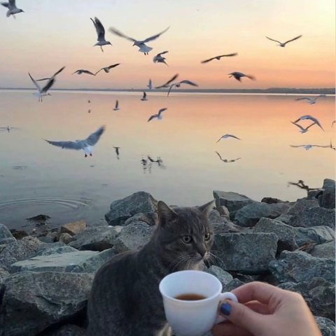 天花坂1海报
