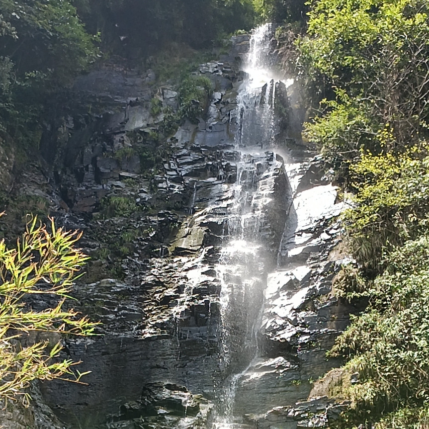逆天@闲龍海报