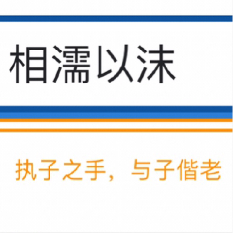 9527与你到老海报