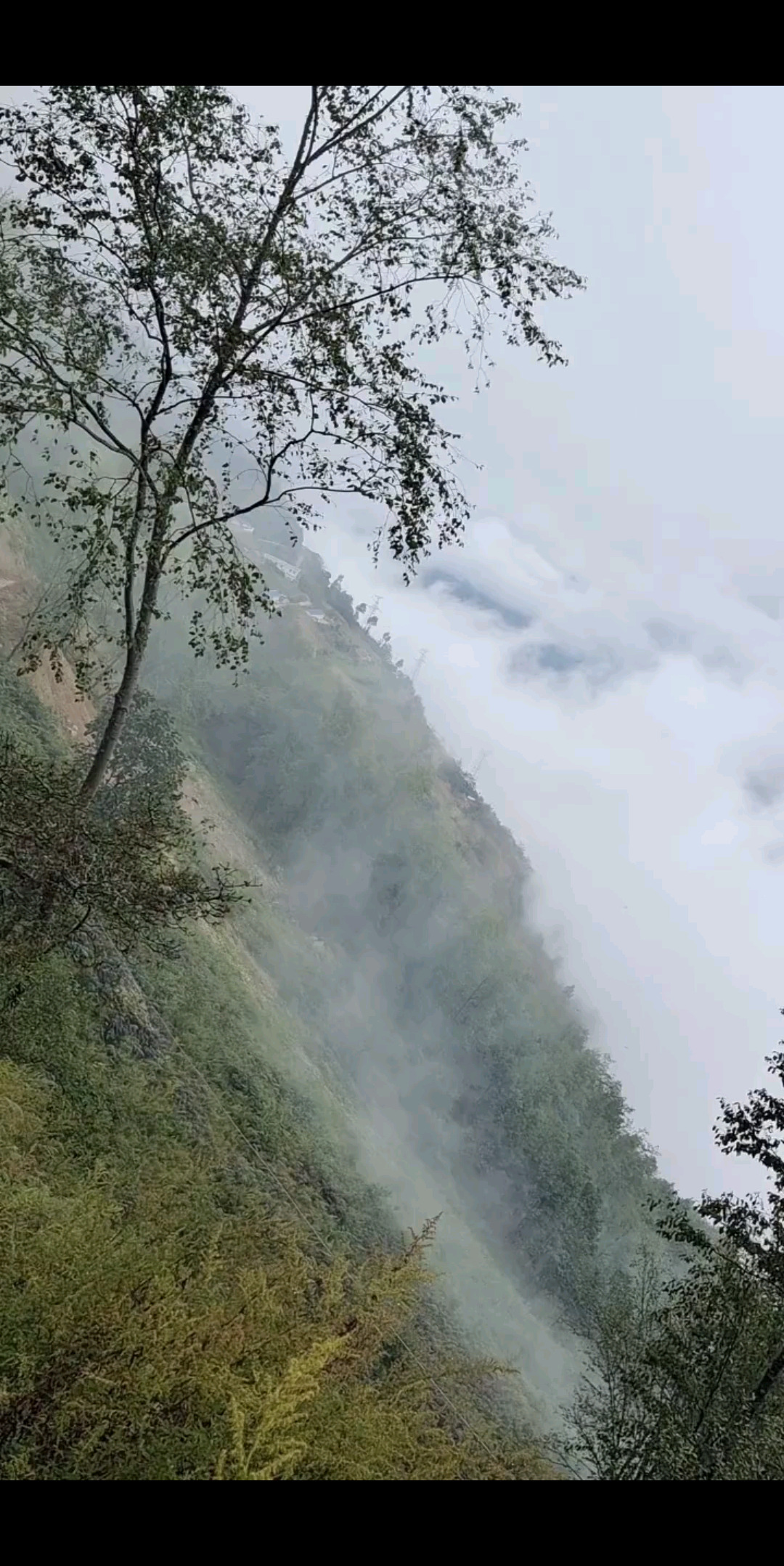 风景如画不错，战胜困