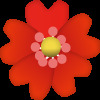 柚子芒果海报