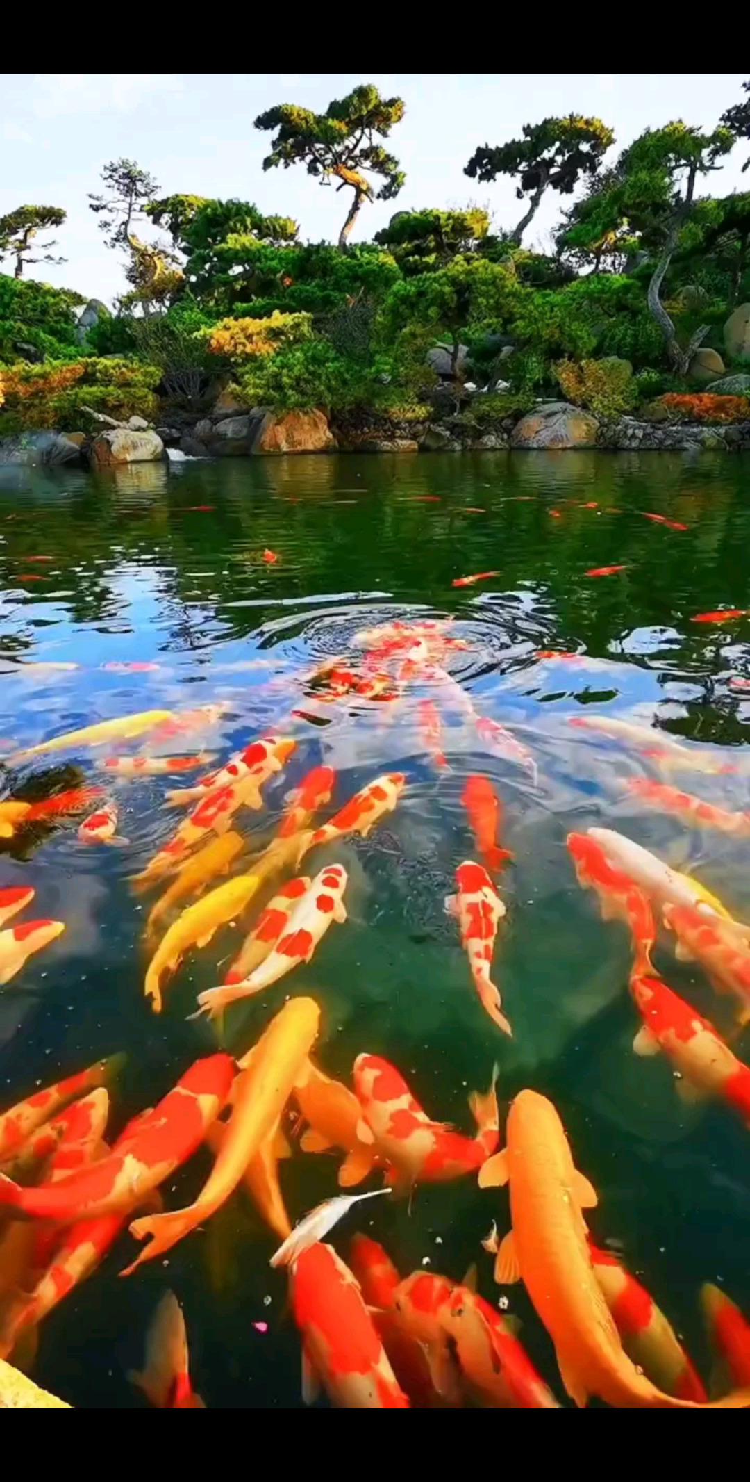 享受大自然的美！