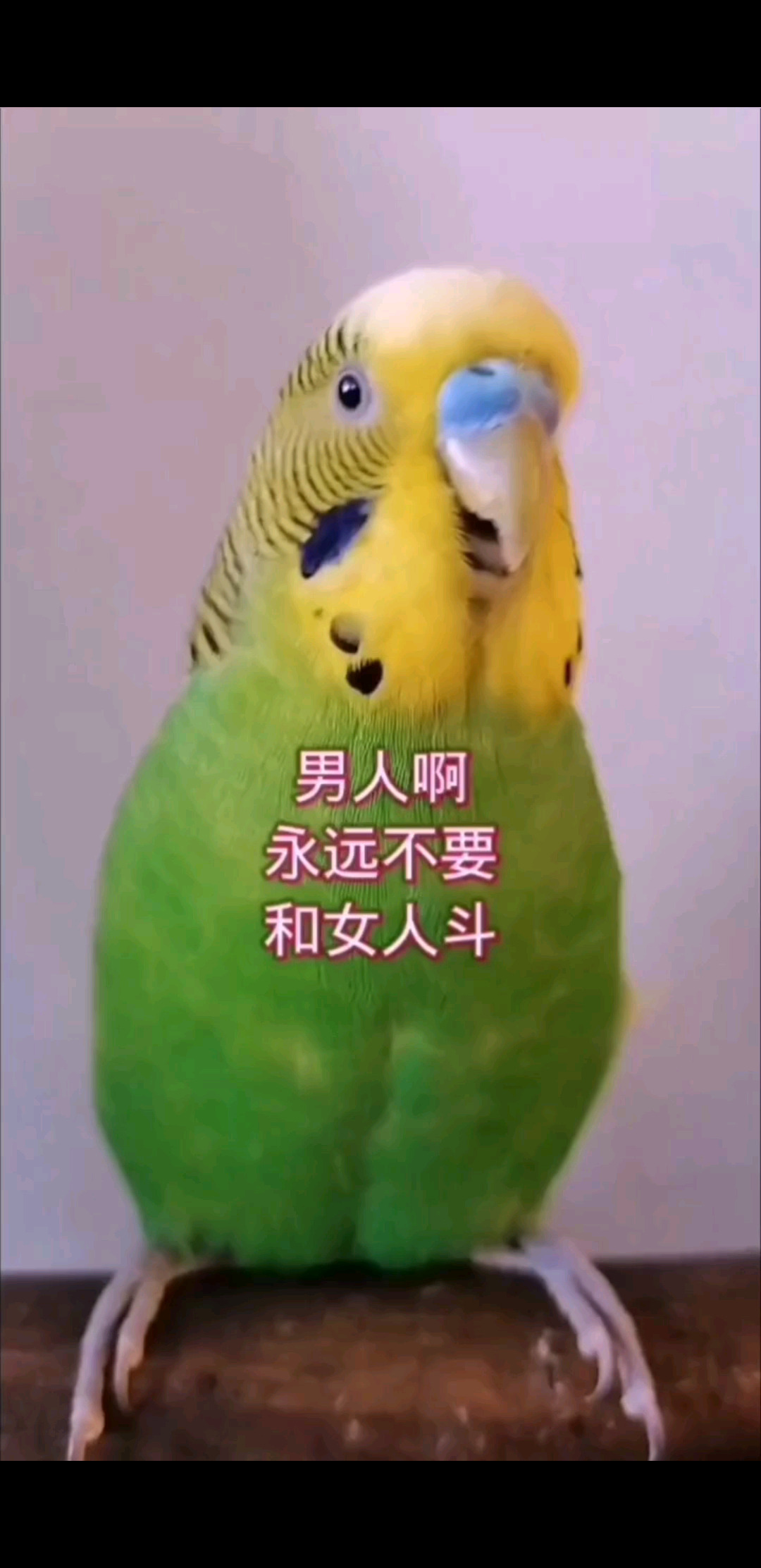 好看视频