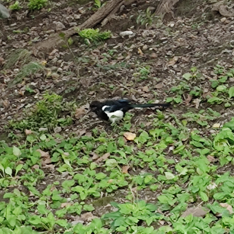 此账号已注销海报