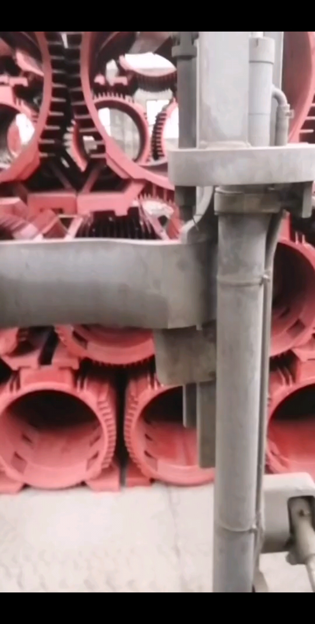 都是为了生存，奋斗吧