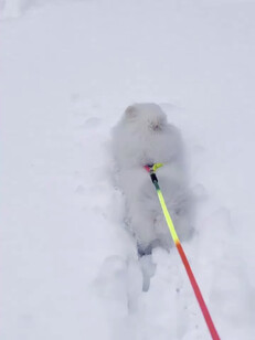 哈哈哈哈，介绍下，我