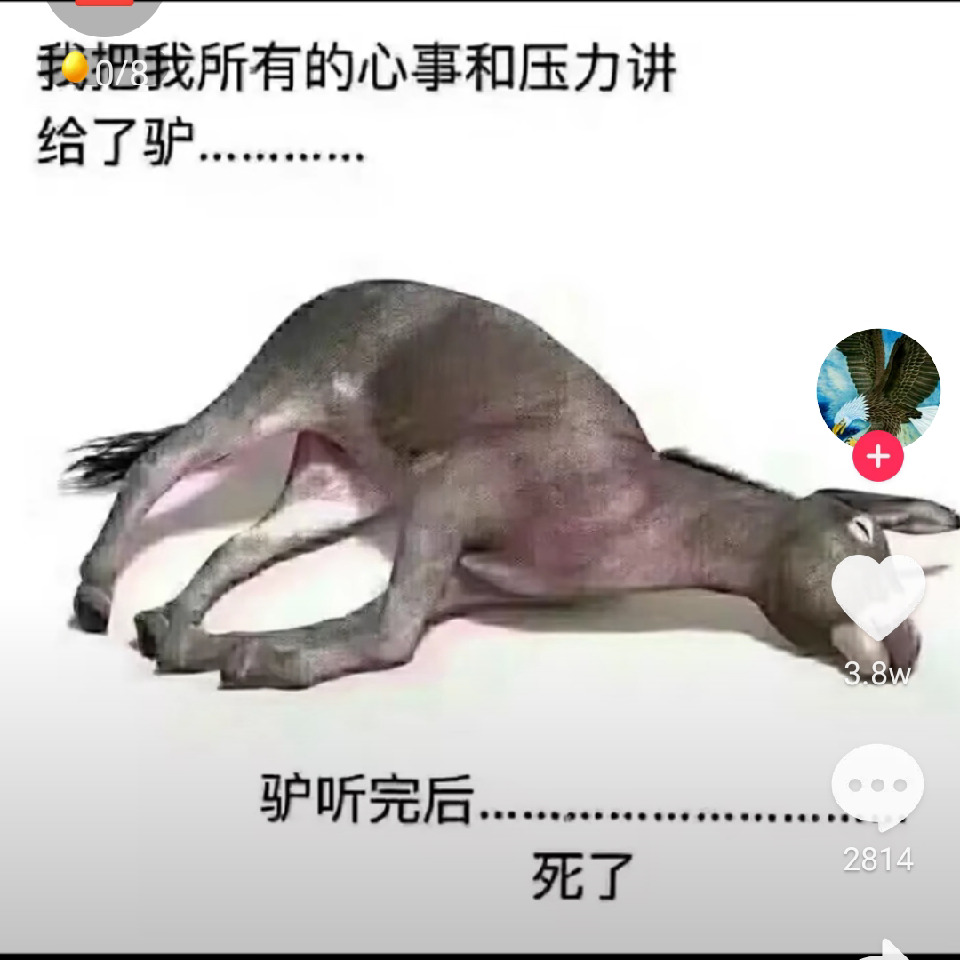 主播三十如浪四十如湖海报