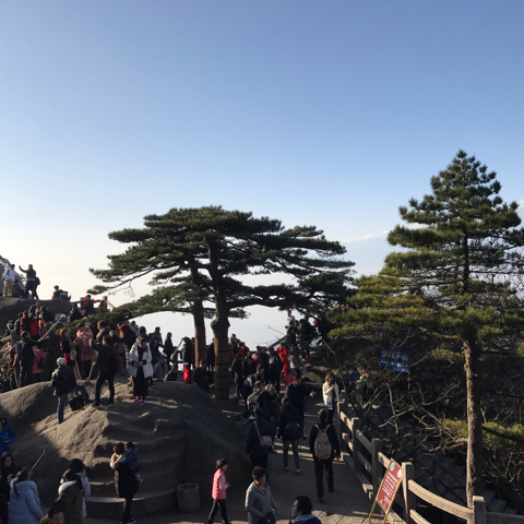 昵称违规，请重新修改海报