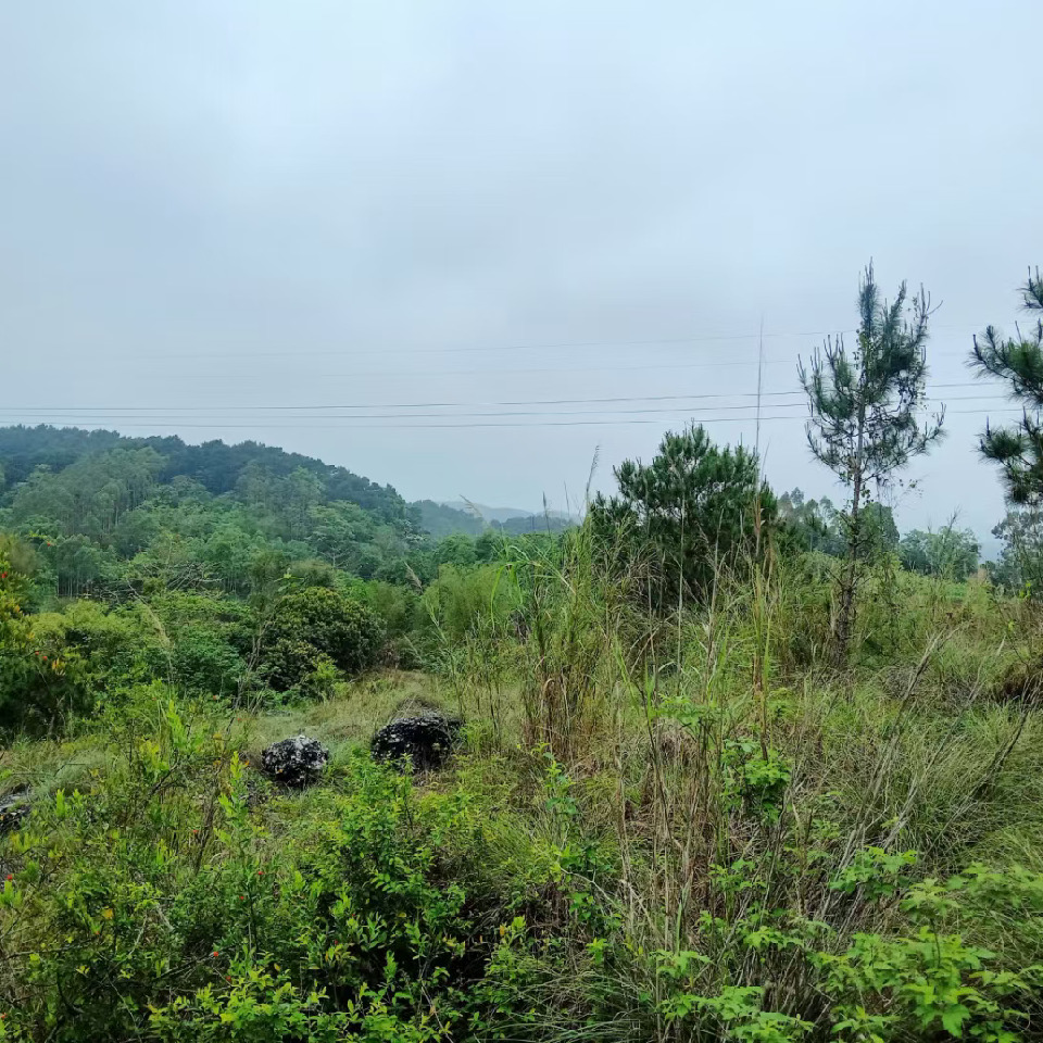 噗噗胖噗噗海报
