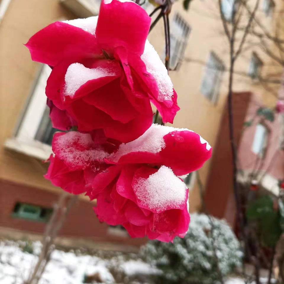 x💞沐离海报