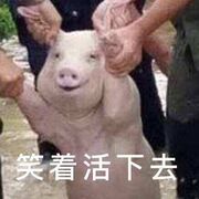 没几根头发了海报
