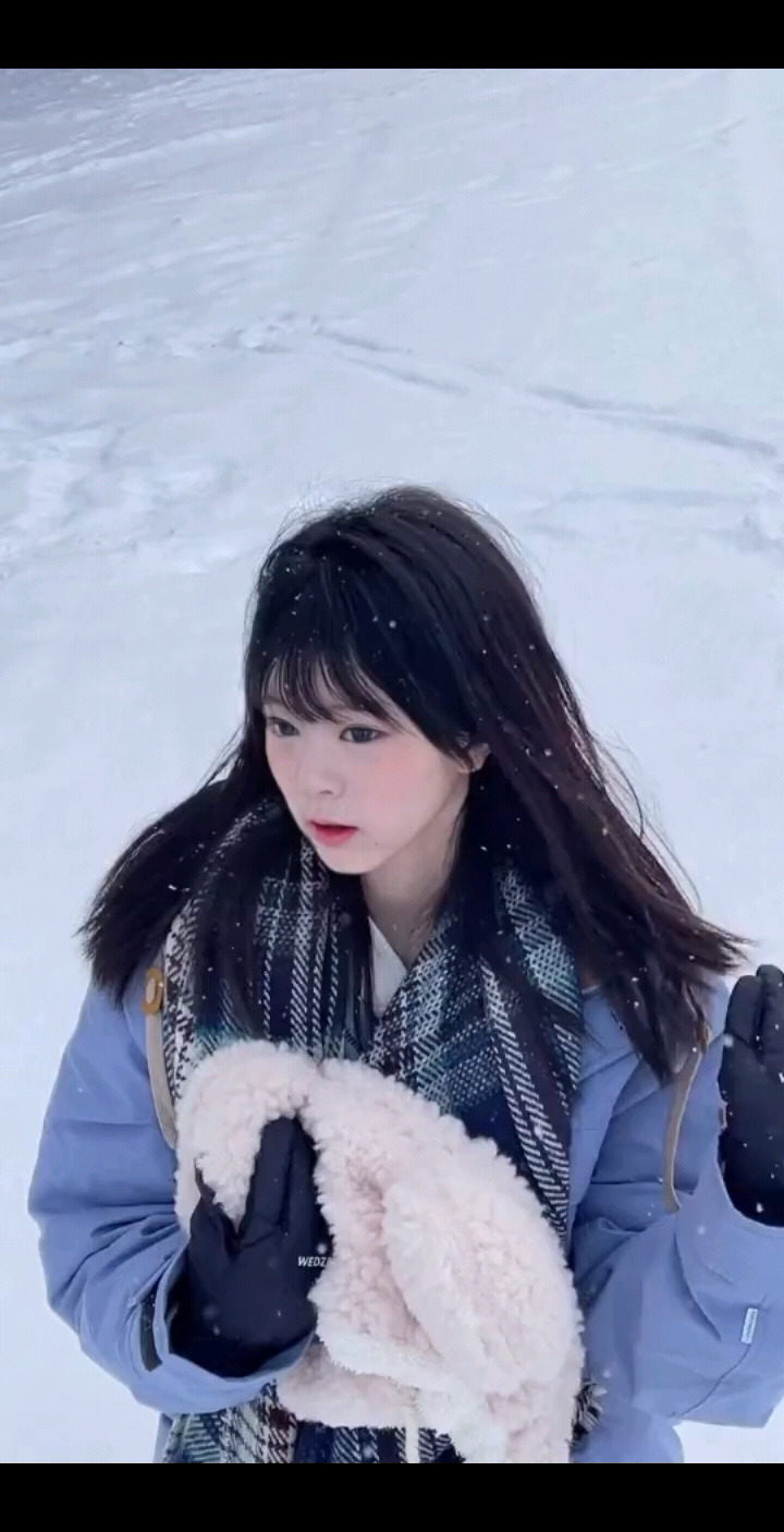 下雪了，一起看雪吗？