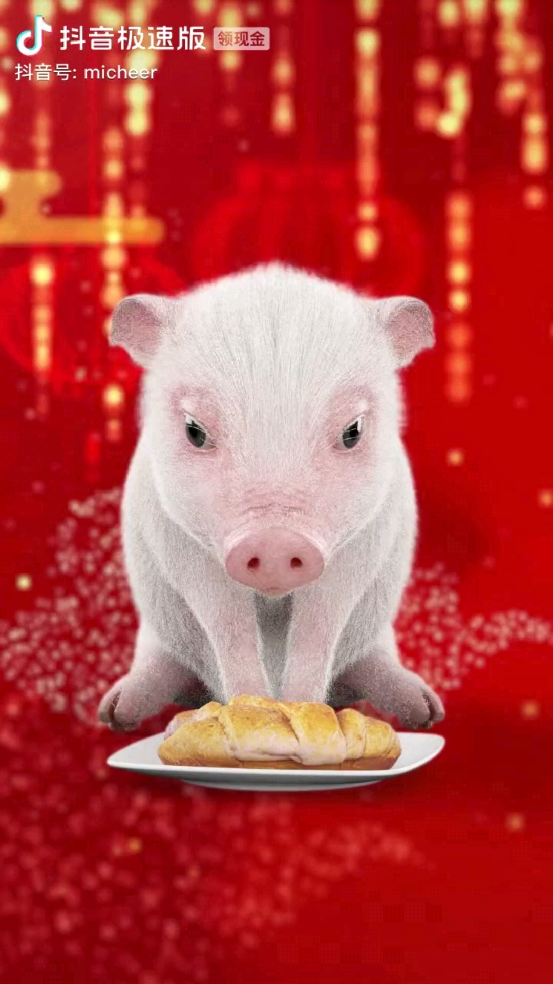 小胖猪😃️😃️😃️