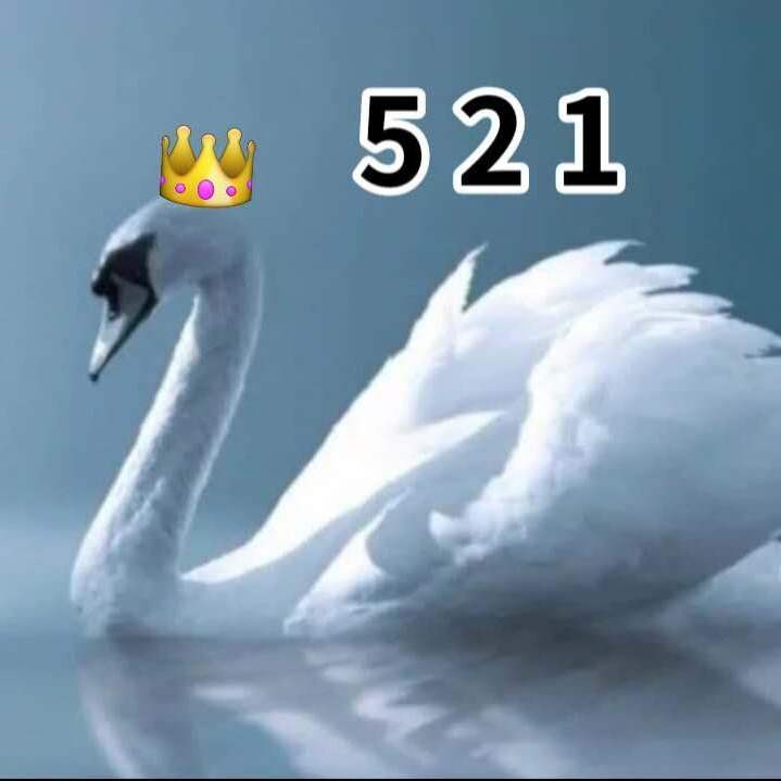 云龙1616海报