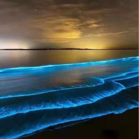 此账号已注销海报