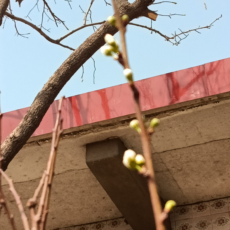 羁，。绊海报