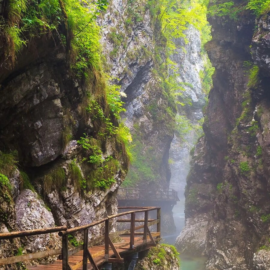 ゞ灬醉、渲染着迷離ぐ海报