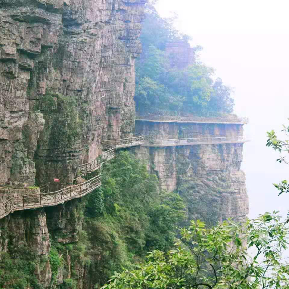 唱将小郑海报