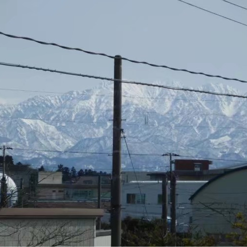 美酒加炖又海报