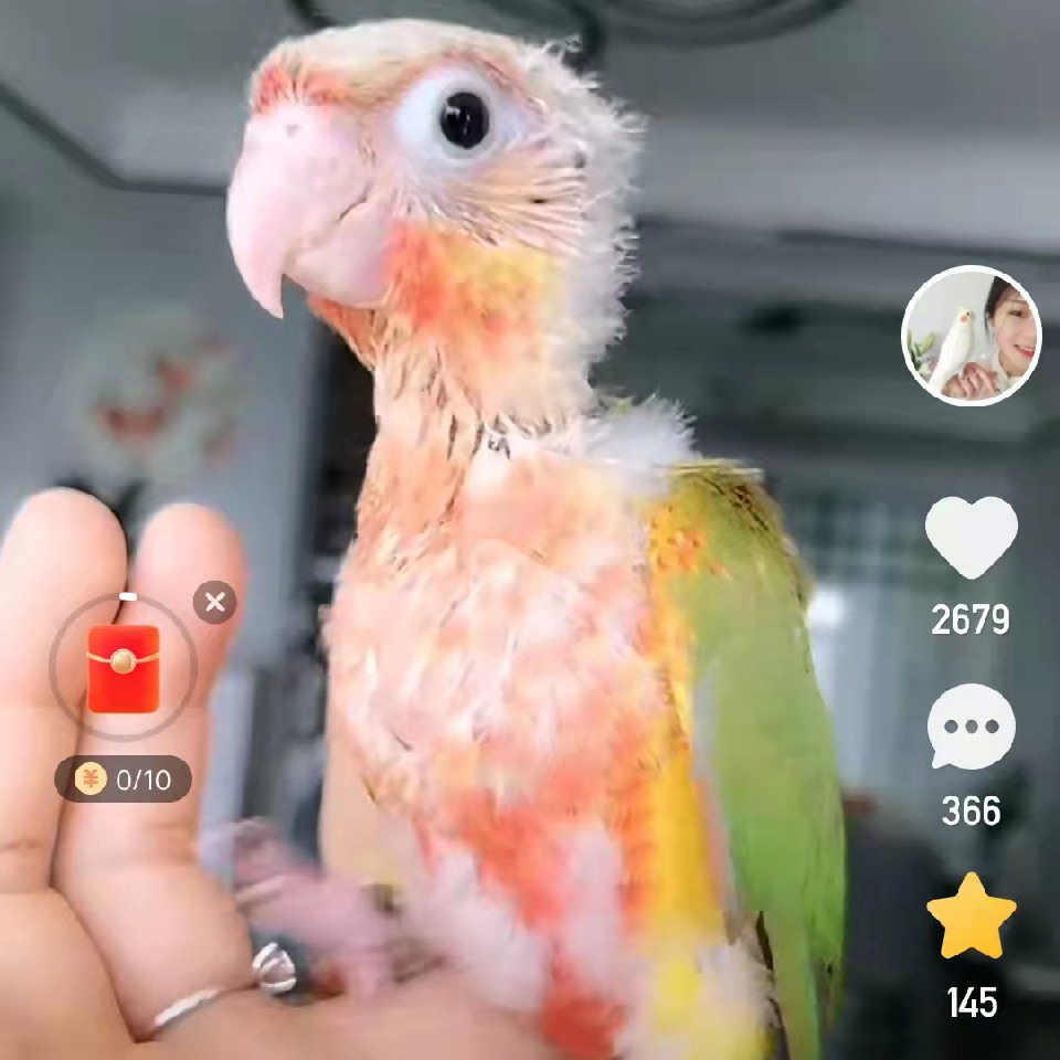 上你家吃点儿饭儿行吗海报