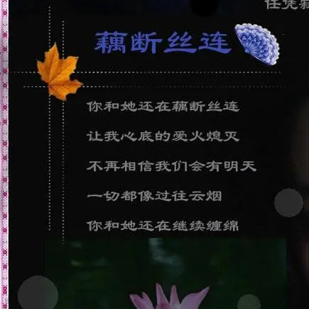 君子愿成人之美海报