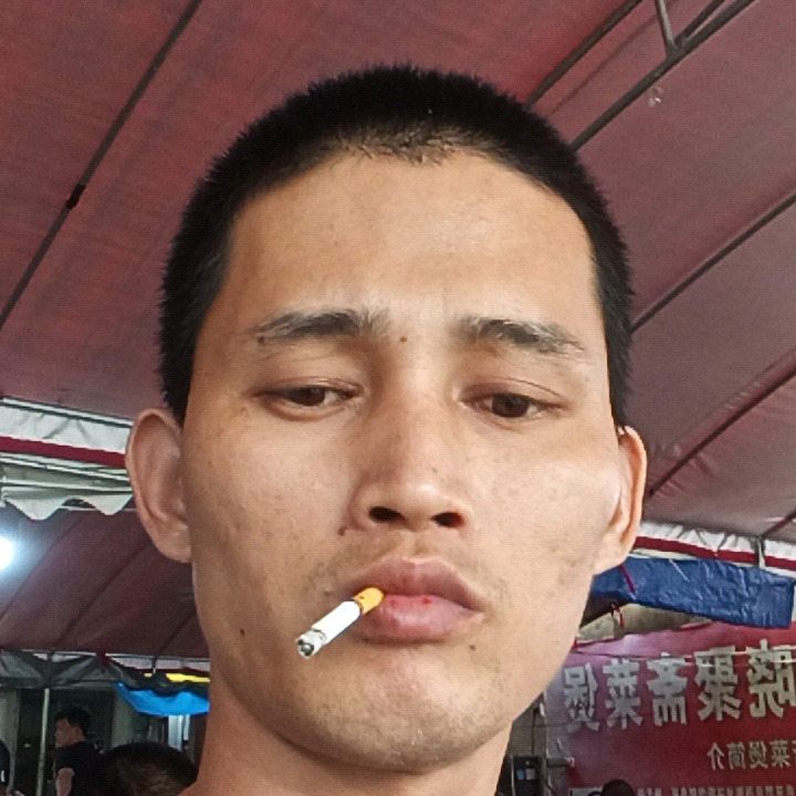 枚海菡47s海报