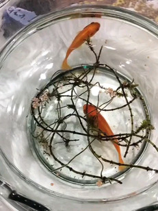 人就要活的自由自在，