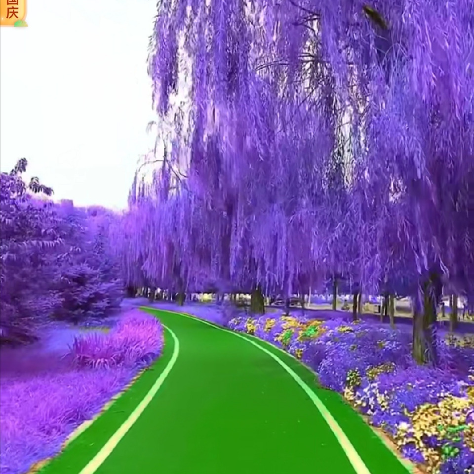 @封锁的心海报
