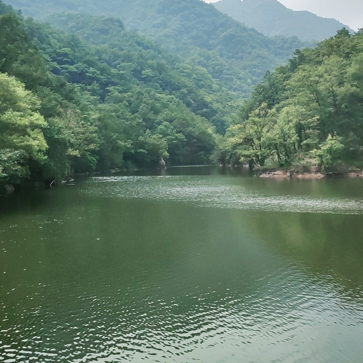 小懒猫求独宠海报