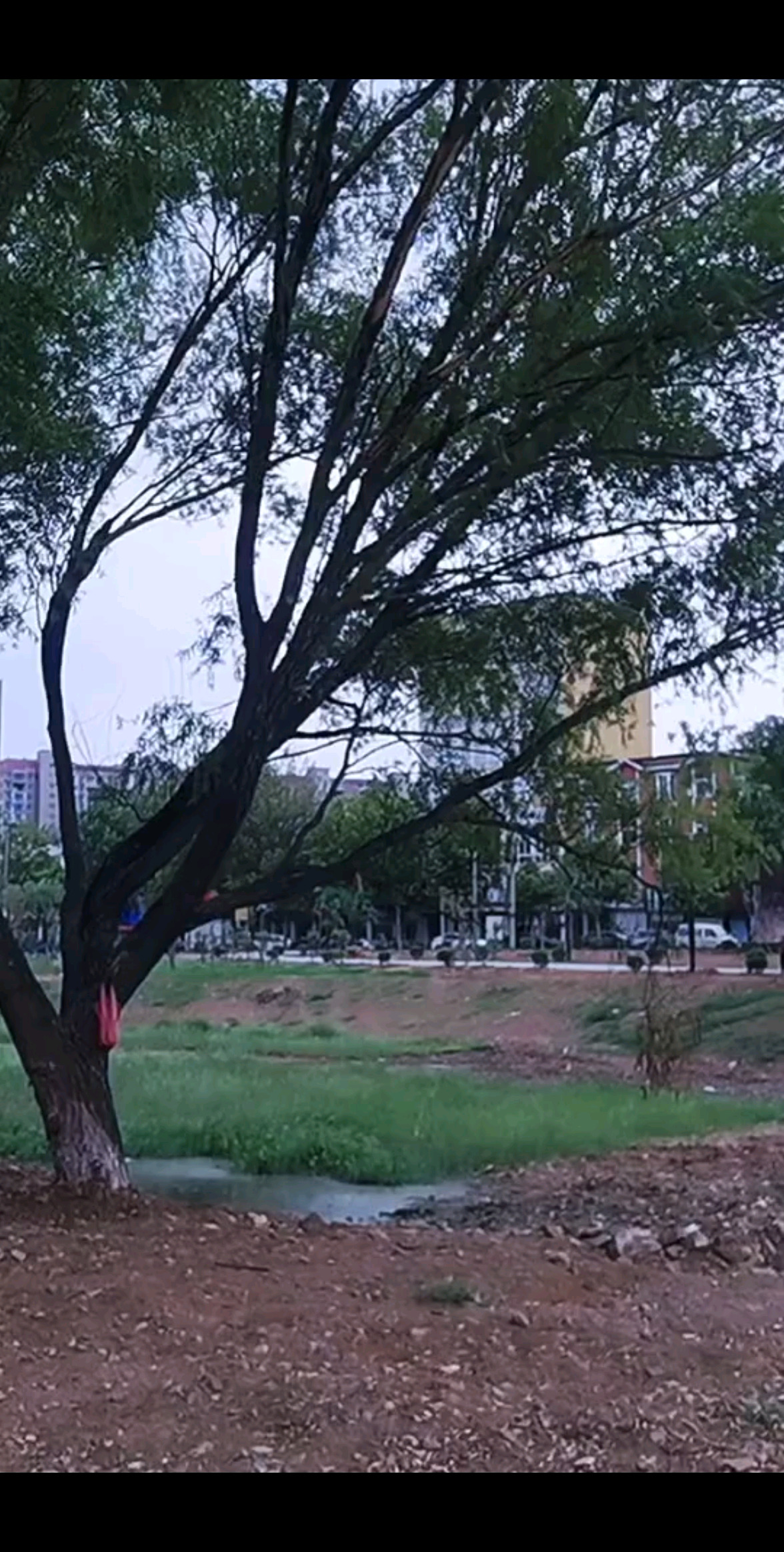 愿家乡越来越好