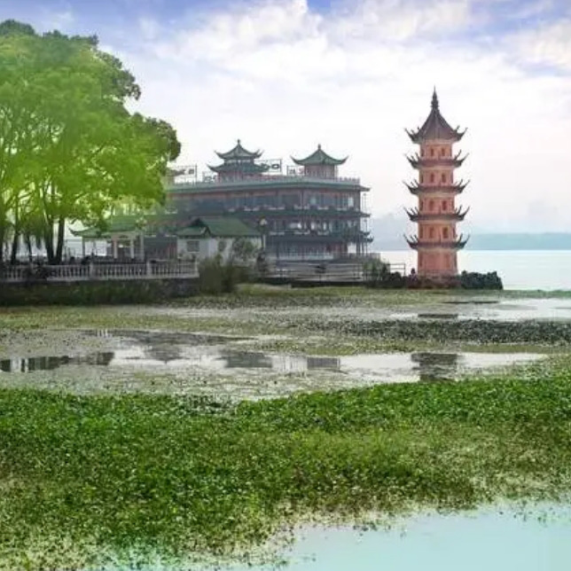 牧童888888海报