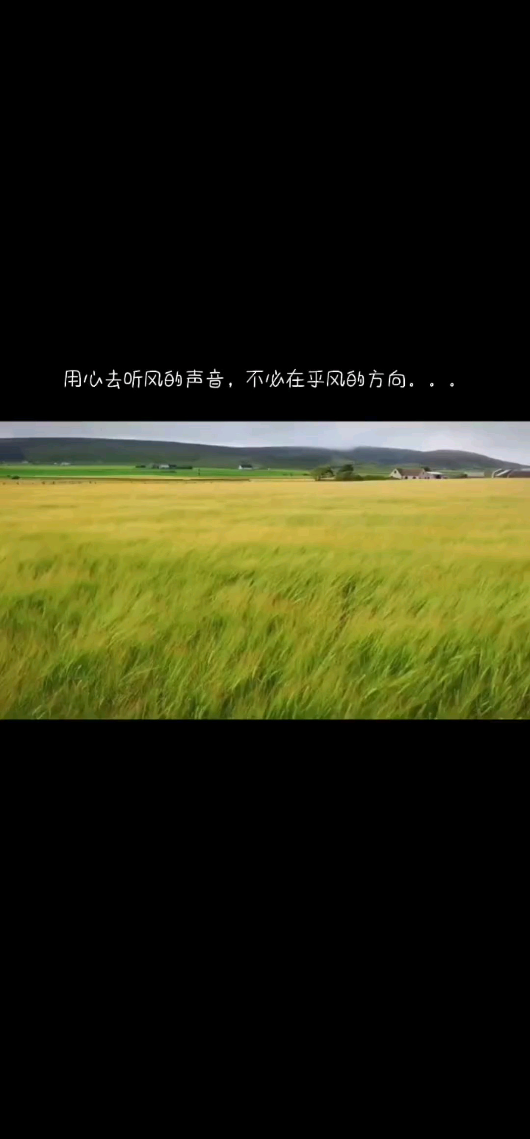 用心去听风的声音，不