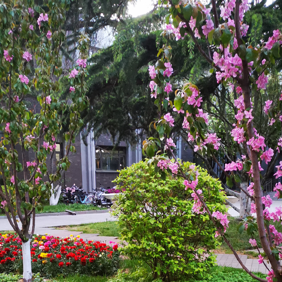 @快乐的农村人海报