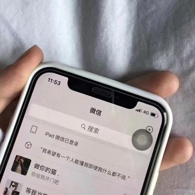 阿狸呐海报