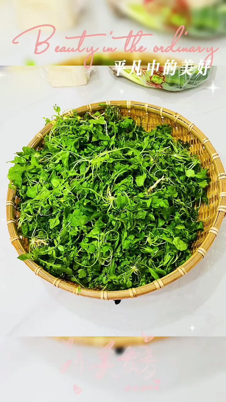 荠菜饺子