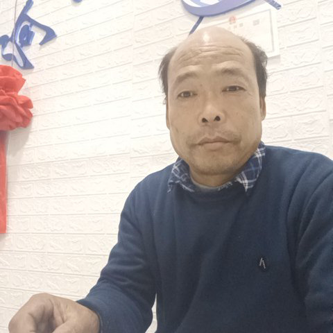 打乒乓球的黄金蟒海报
