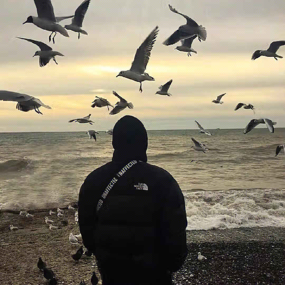 此账号已注销海报
