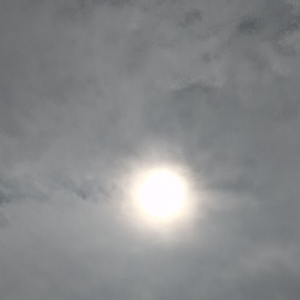 海活天空海报